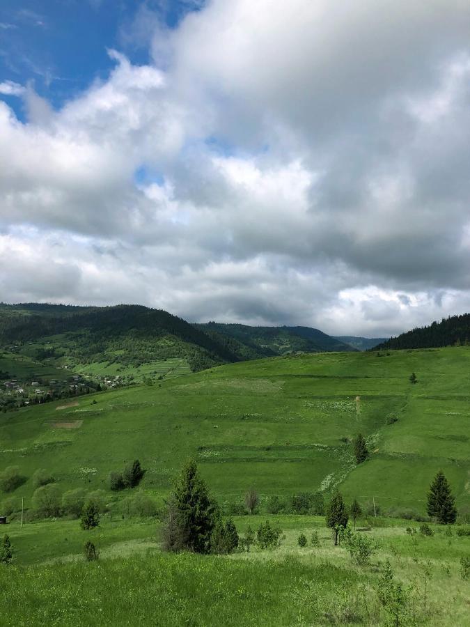 Галерея Карпат Plave Exterior foto