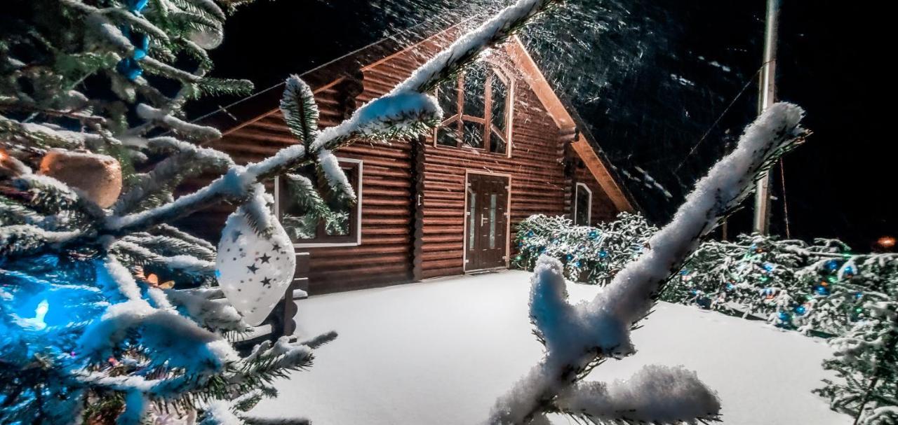 Галерея Карпат Plave Exterior foto