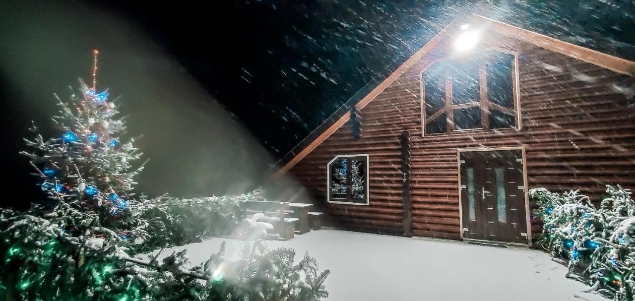 Галерея Карпат Plave Exterior foto